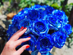 Букет из 21 синих роз в шляпной короббке