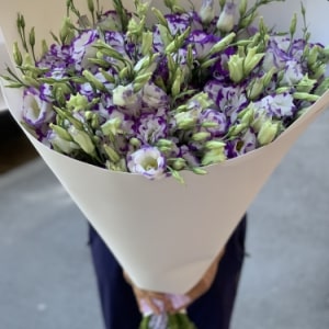 Кликните для увеличения изображения Вираж