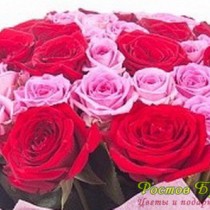 45 красно-розовых роз