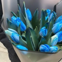 Кликните для увеличения изображения Эксклюзив