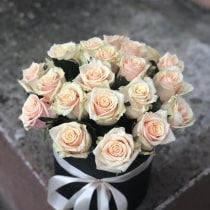 Кликните для увеличения изображения Цветы в коробке