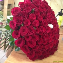 151 красная роза (Premium)