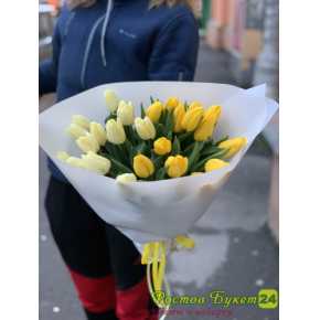 25 кремово-желтых тюльпанов