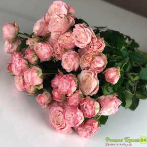 Пионовидная кустовая роза Мадам бомбастик